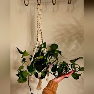 Handmade Cream Macrame Plant Hanger